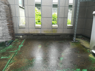 バルコニーに苔が生えている