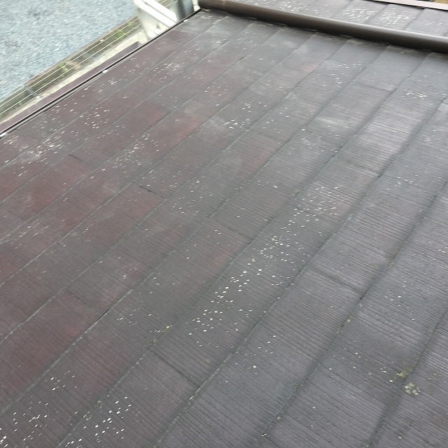 瓦全体の様子です。ところどころに表面の剥離などが見られます。