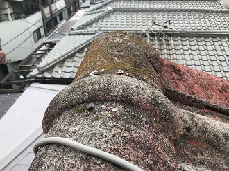 藻の生えたモニエル瓦の棟