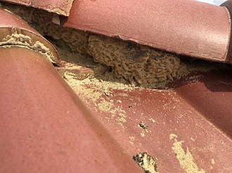 吹田市青山台で屋根調査、セメント瓦の棟、漆喰の崩れあり！雨漏りに要注意！