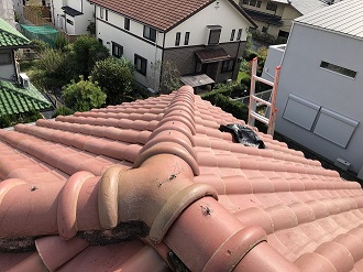 セメント瓦の棟