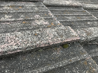 コケの生えたセメント瓦