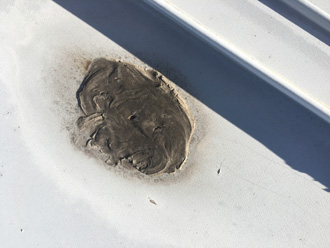 屋根のコーキング補修跡