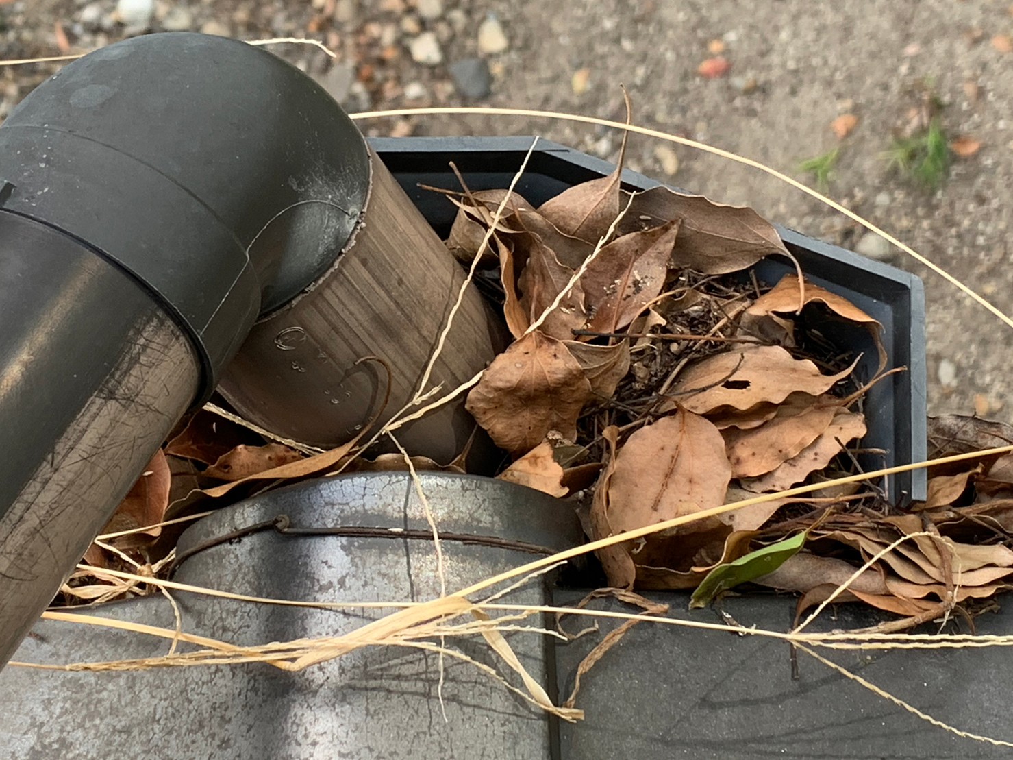葉っぱが詰まった雨樋