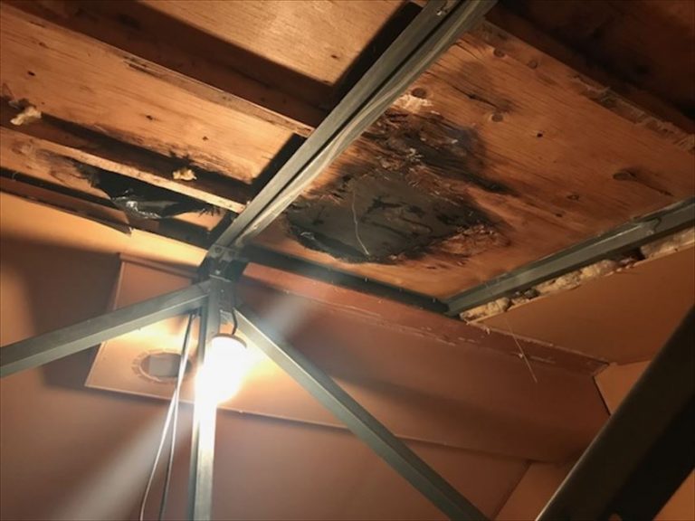 雨漏りした天井裏 IMG_2653_R