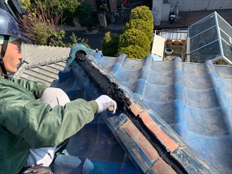 シルガードを塗っていく