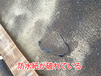 防水紙が破れている