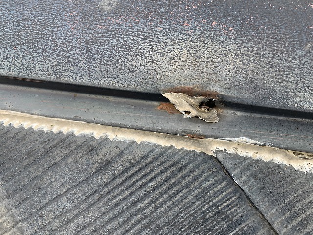 棟板金の釘が浮いている様子