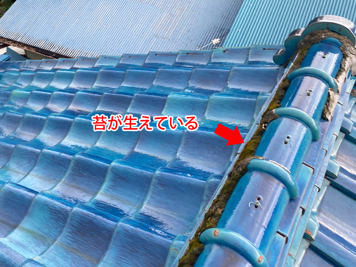 湿気環境を悪化させる要因：屋根の苔の発生