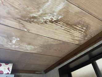 天井の雨染み