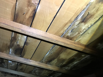 小屋裏の雨漏り状況