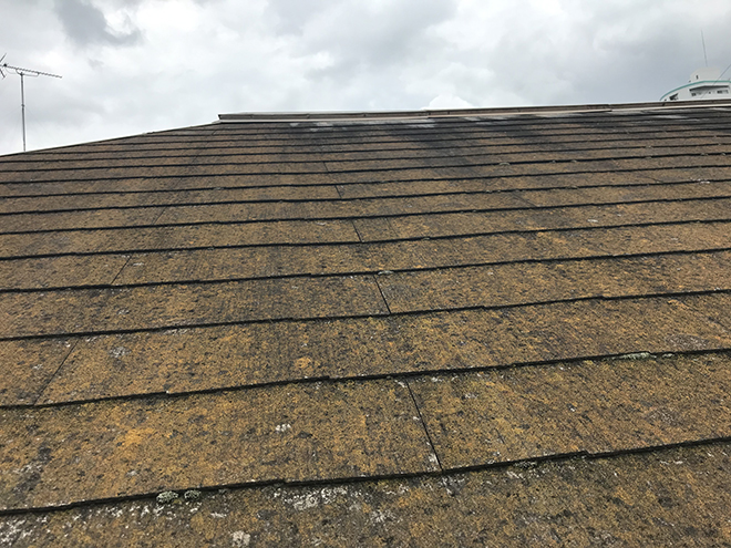 苔の繁茂する屋根