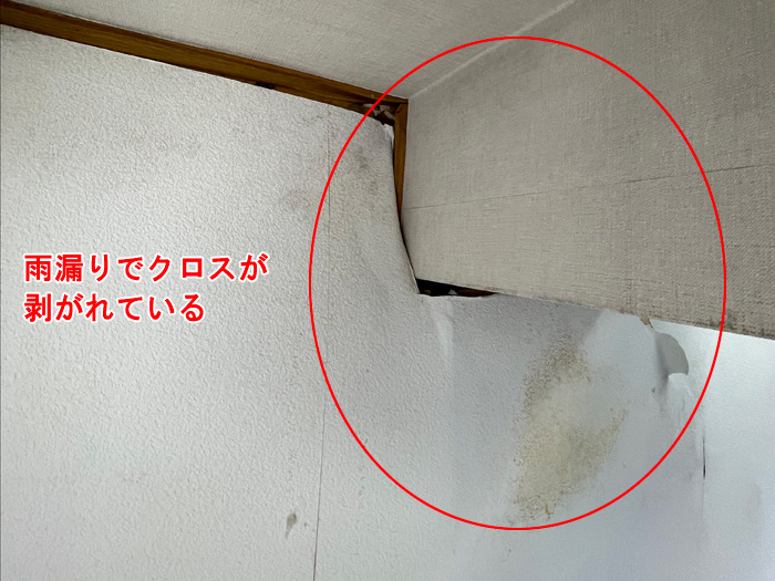 室内の天井クロスが剥がれ