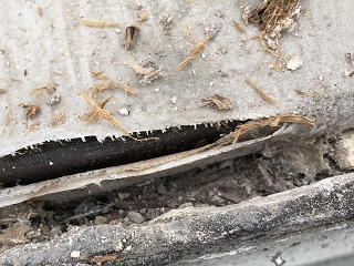雨水が浸入したシートの切れ目