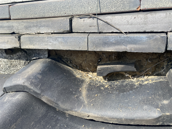 漆喰の剥がれと蔦