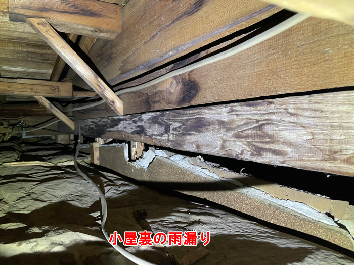 小屋裏で発覚した雨漏りの実態