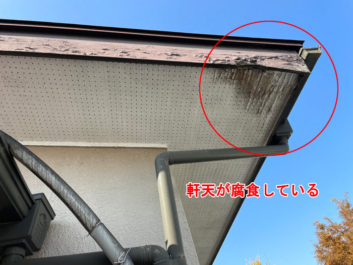 小屋裏の雨漏りと軒天の腐食は放置厳禁！白井市野口の事例から学ぶ住宅の雨漏り対策