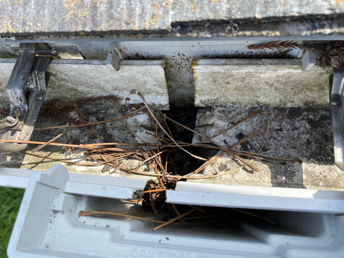 雨樋が壊れている