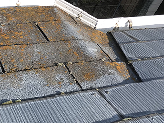 苔の生えたアスファルトシングル