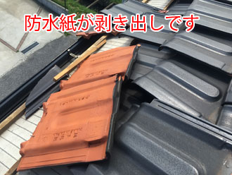 防水紙が剥き出しのため対策が必要です