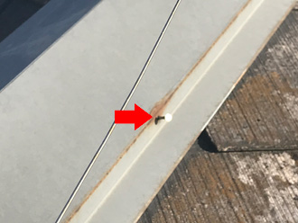 棟板金の固定用釘が浮き上がっている