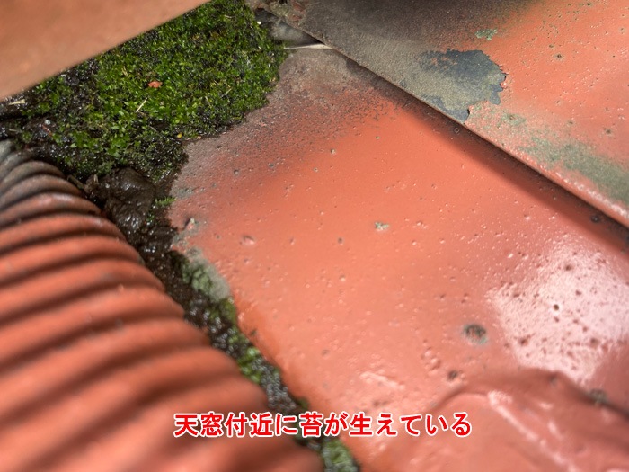 天窓周辺の屋根材に見られた異変