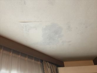 天井の雨染み