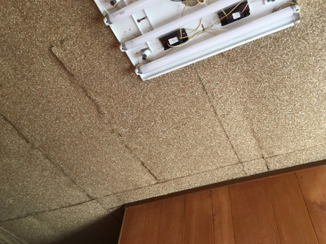 天井からの雨漏り