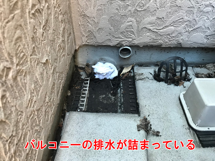 バルコニー排水口の詰まり