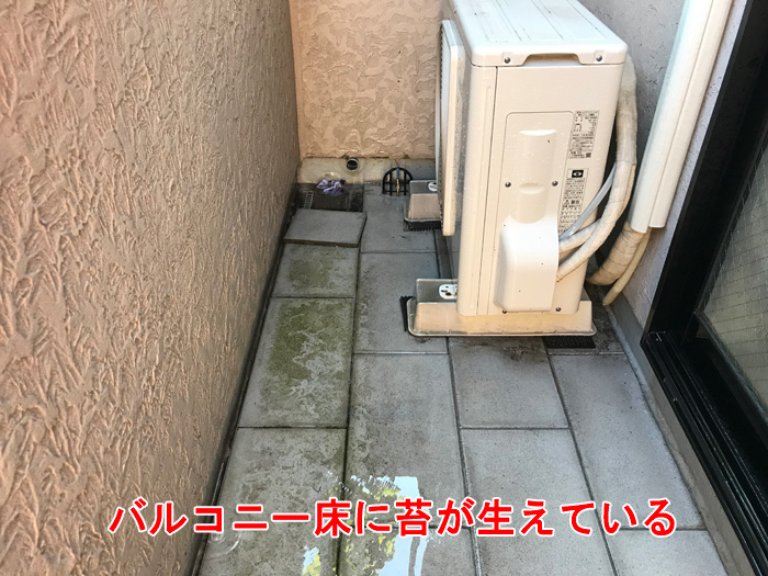 バルコニー床の苔の発生
