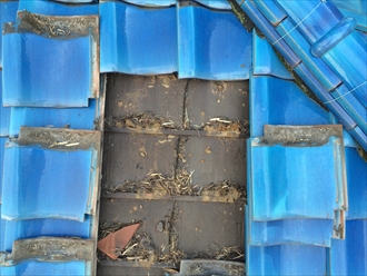 雨漏りを起こした屋根真上を調査