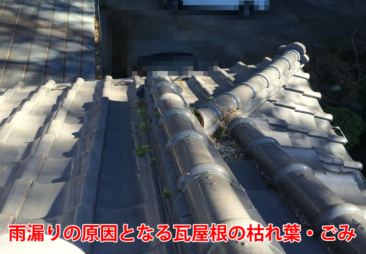 雨漏りの原因となる瓦屋根の落ち葉やゴミの詰まり｜定期的な点検・清掃で防止しましょう！