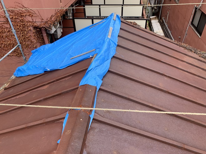 雨養生されたトタン屋根