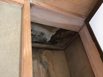 押し入れのカビ