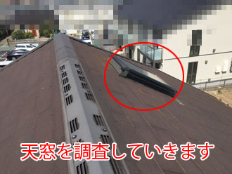 トップライトの調査です