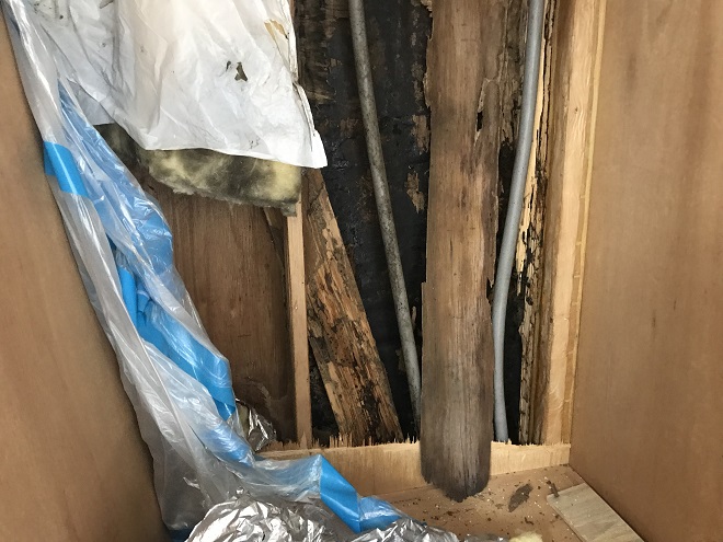 吹田市南正雀で雨漏り調査、原因は瓦屋根の些細な不具合でした