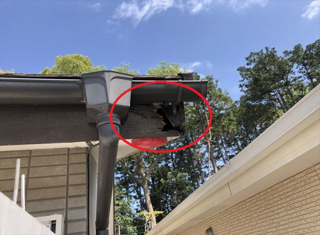 破損した鼻隠し