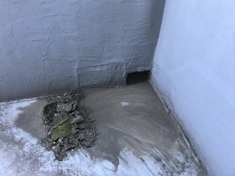 排水口付近に砂やゴミが溜まっている