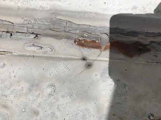 コーキングの劣化