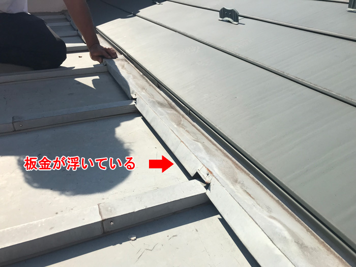 現場調査の様子