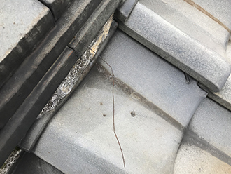 棟に留まっていた銅線が切れてい