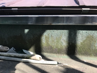 苔が生えている