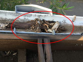 雨樋に異物が溜まっている