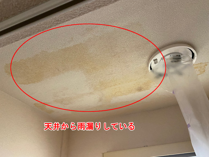天井染み