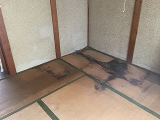 雨漏りでカビが生えた床