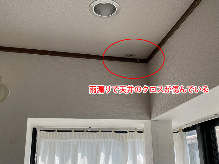 室内天井のクロスにも雨染みが出現