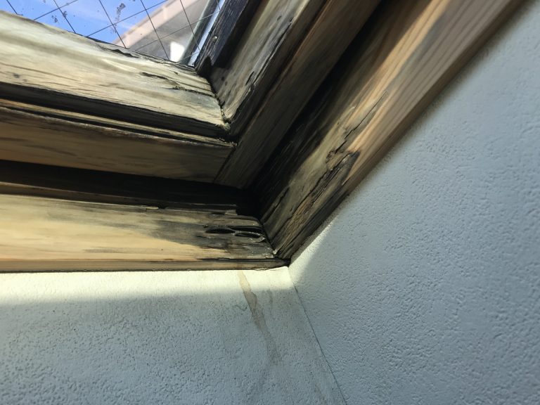 天窓雨漏り被害の様子