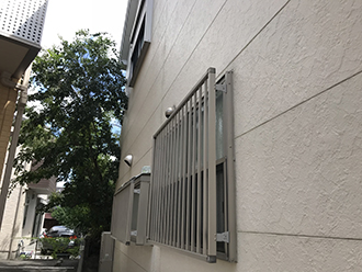 家の隣に木が生えている