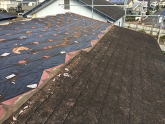 雨漏りを起こした片流れの屋根