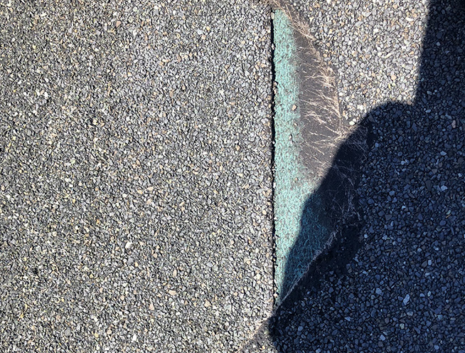 防水紙が見えている